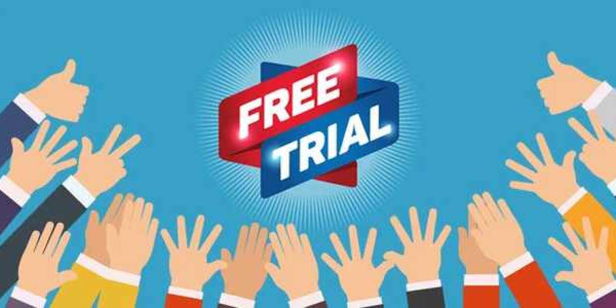 The Top 6 Most Asked Questions About Free Seo Service Trial